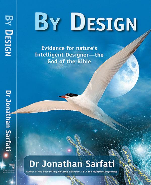 By Design (1st edition, 2008)