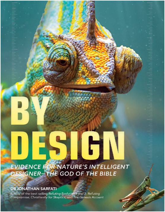 By Design, updated 2nd edition