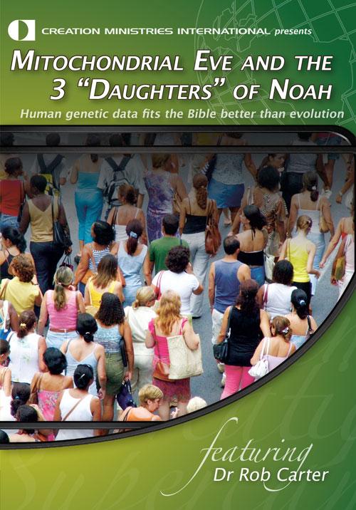 Mitochondrial Eve and the 3 