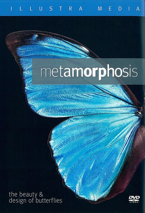 Metamorphosis